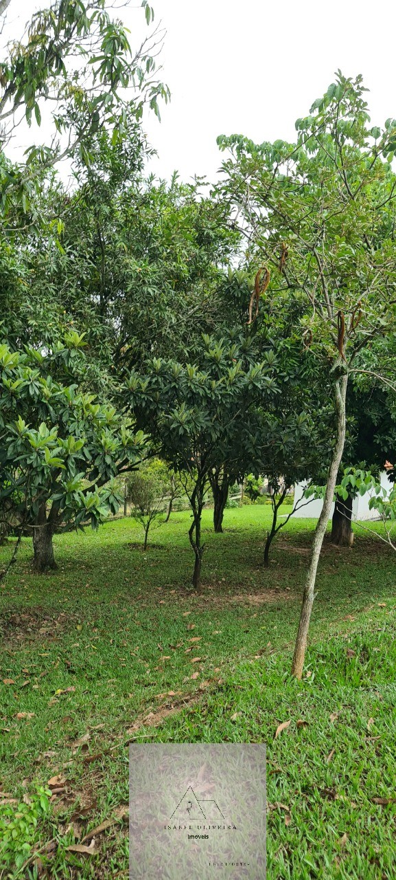 Chácara, 3 quartos - Foto 151