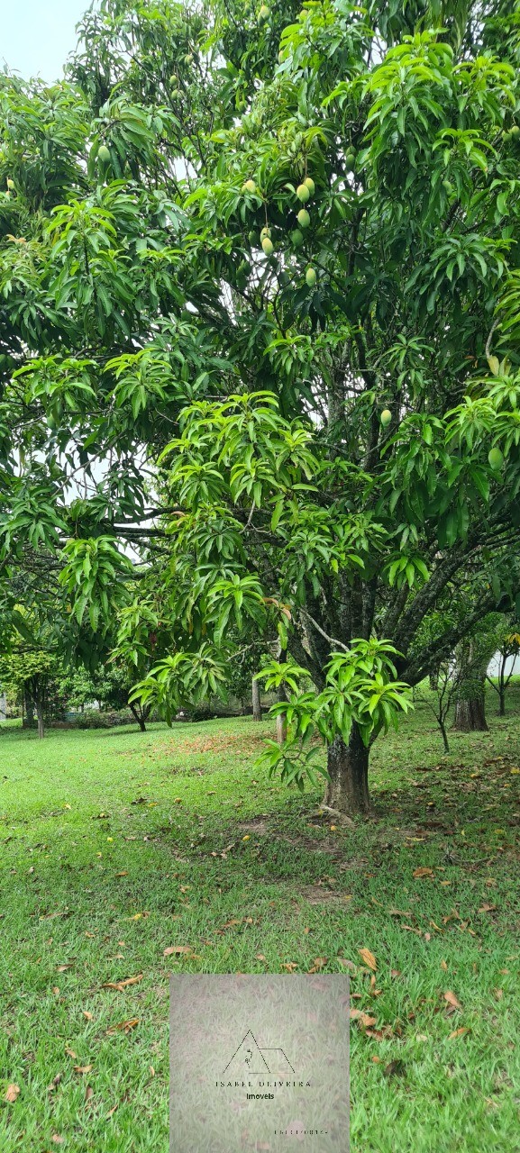 Chácara, 3 quartos - Foto 121
