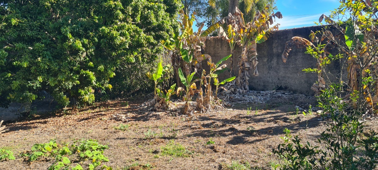 Chácara, 3 quartos - Foto 12