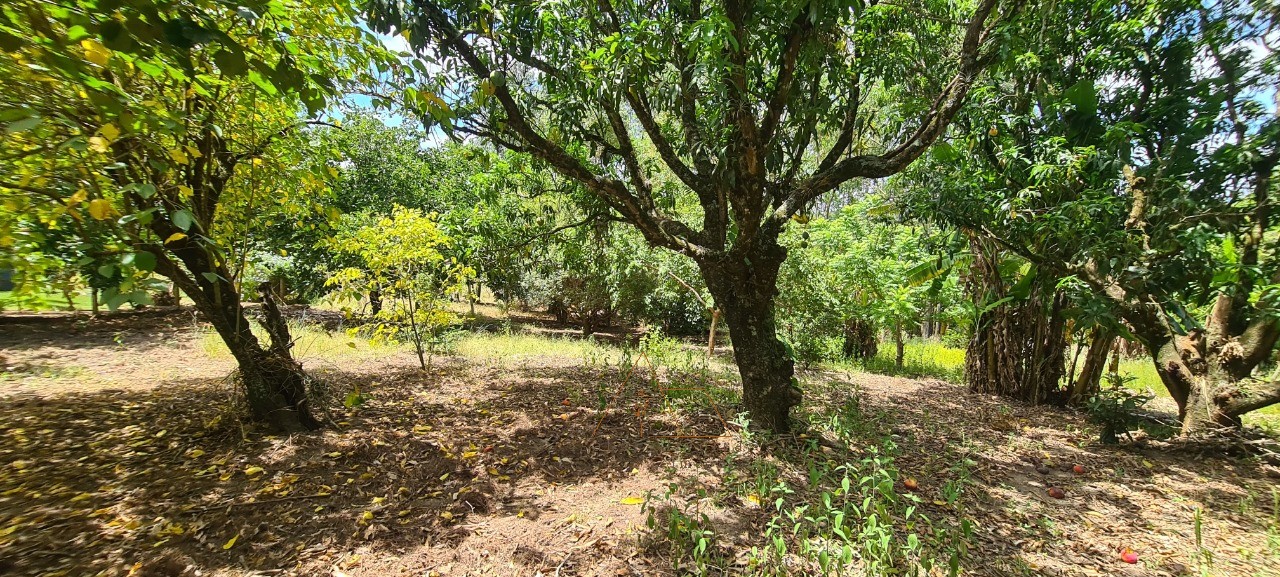 Chácara, 1 quarto - Foto 23