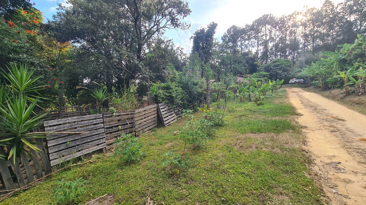 Chácara, 1 quarto, 5287 m² - Foto 29