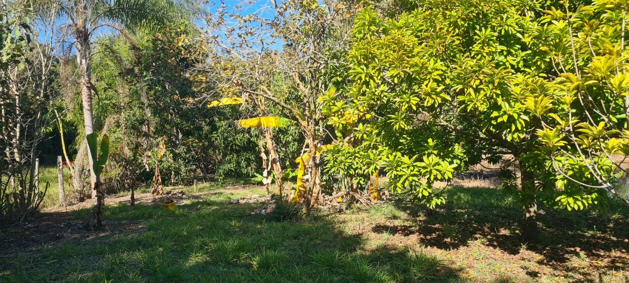 Chácara, 3 quartos - Foto 4