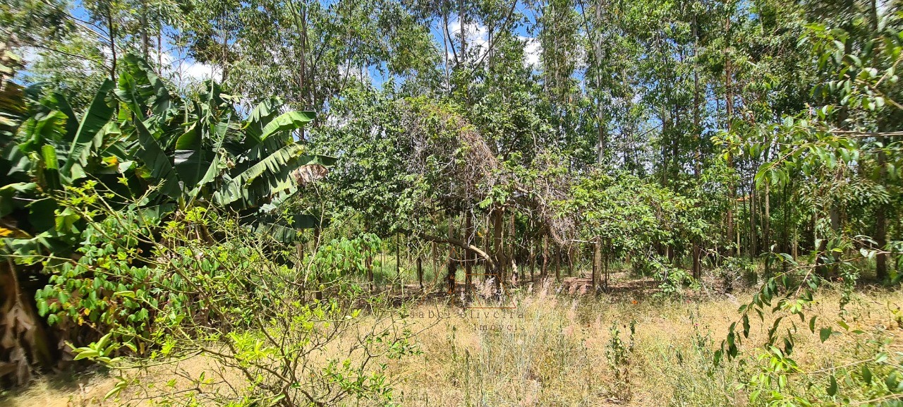 Chácara, 1 quarto - Foto 35