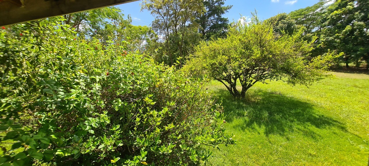 Chácara, 1 quarto - Foto 16