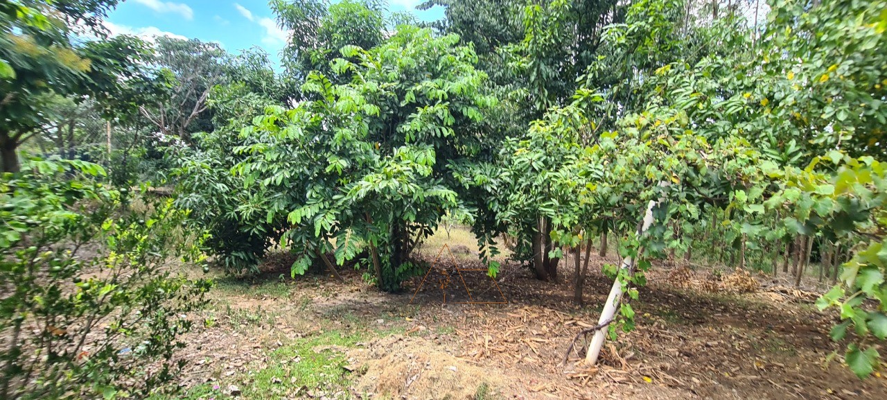 Chácara, 1 quarto - Foto 29