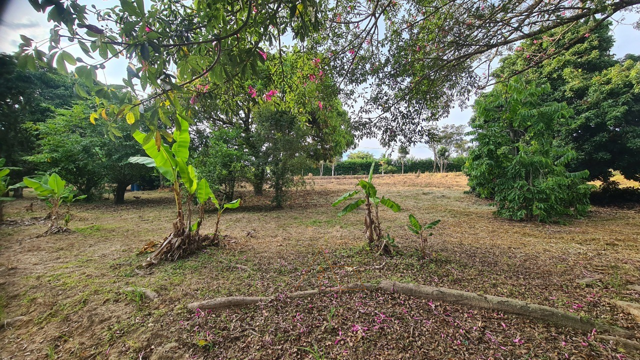 Chácara, 1 quarto, 5287 m² - Foto 15