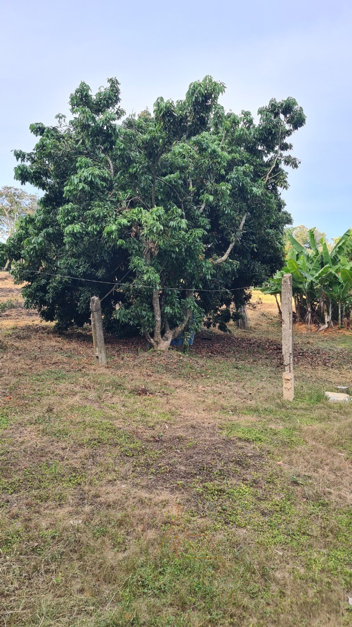 Chácara, 1 quarto, 5287 m² - Foto 20