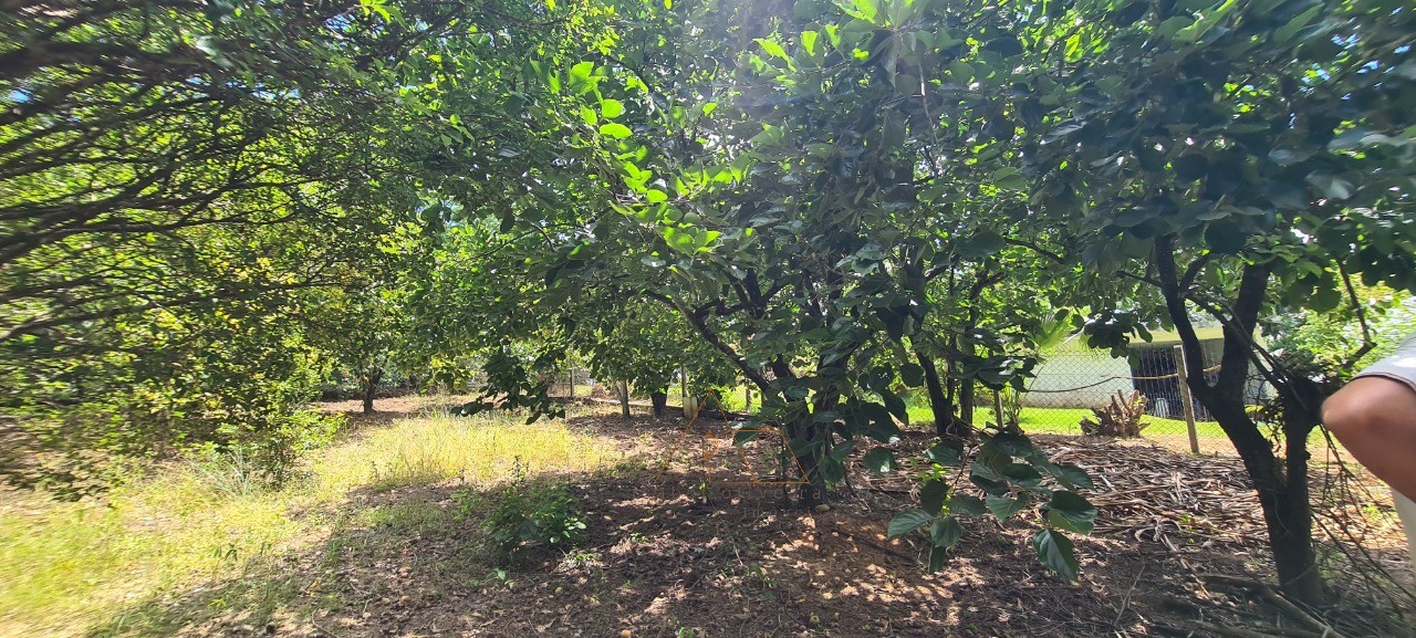 Chácara, 1 quarto - Foto 26
