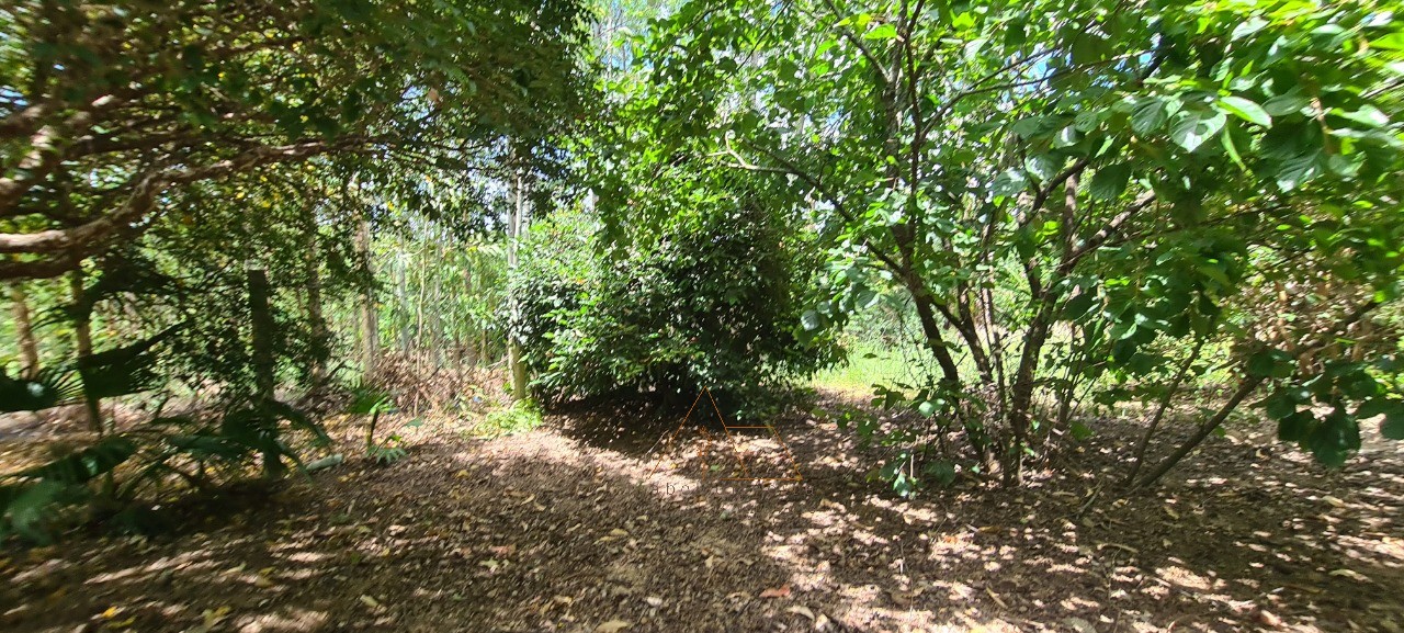 Chácara, 1 quarto - Foto 28