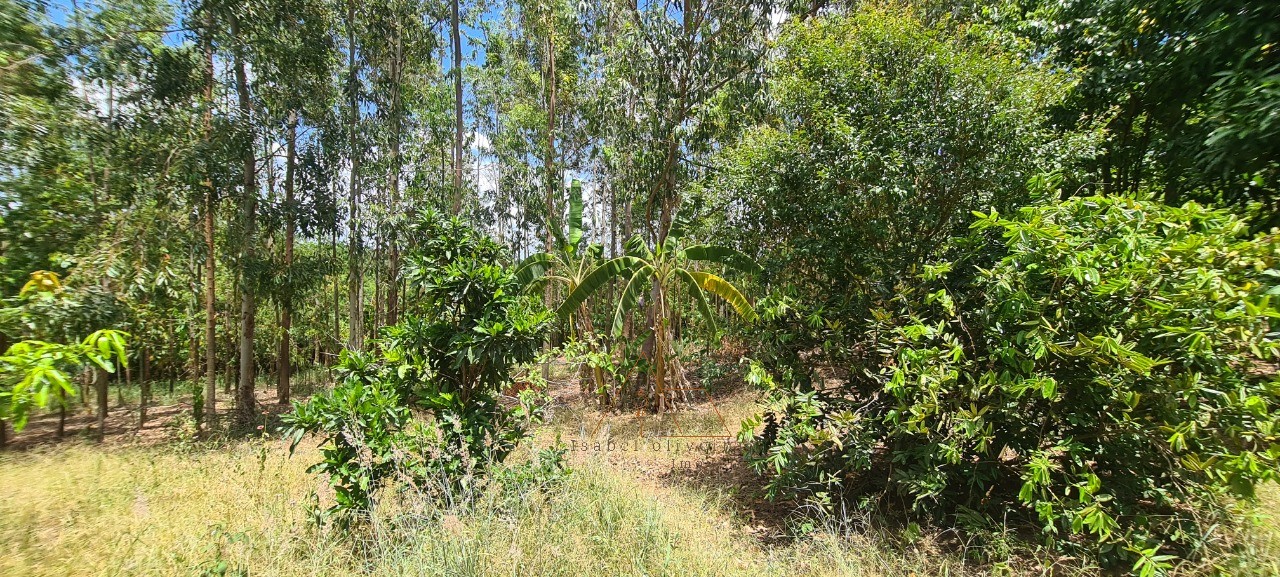 Chácara, 1 quarto - Foto 50