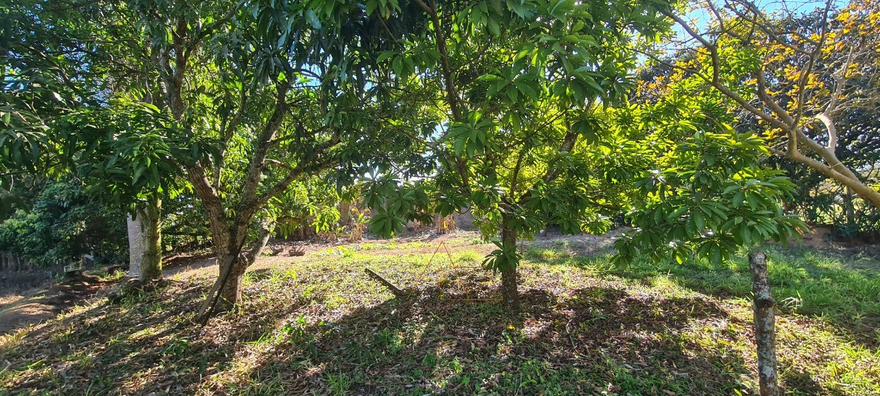 Chácara, 3 quartos - Foto 7