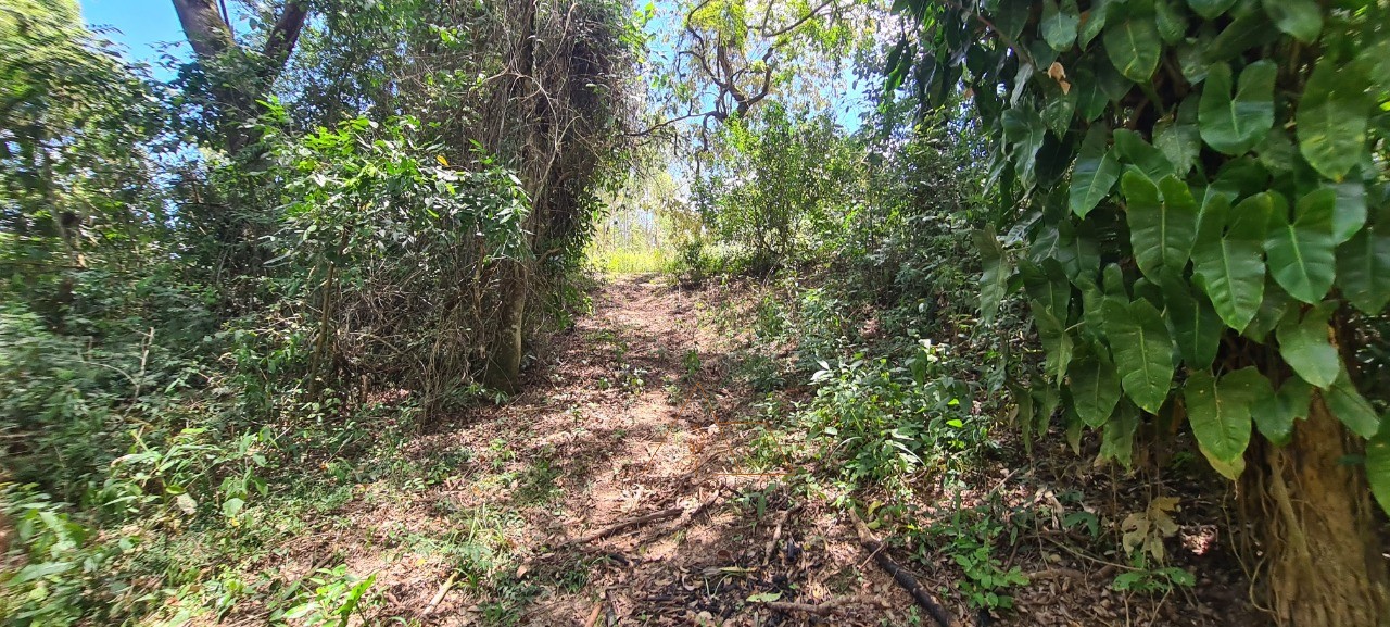 Chácara, 1 quarto - Foto 45