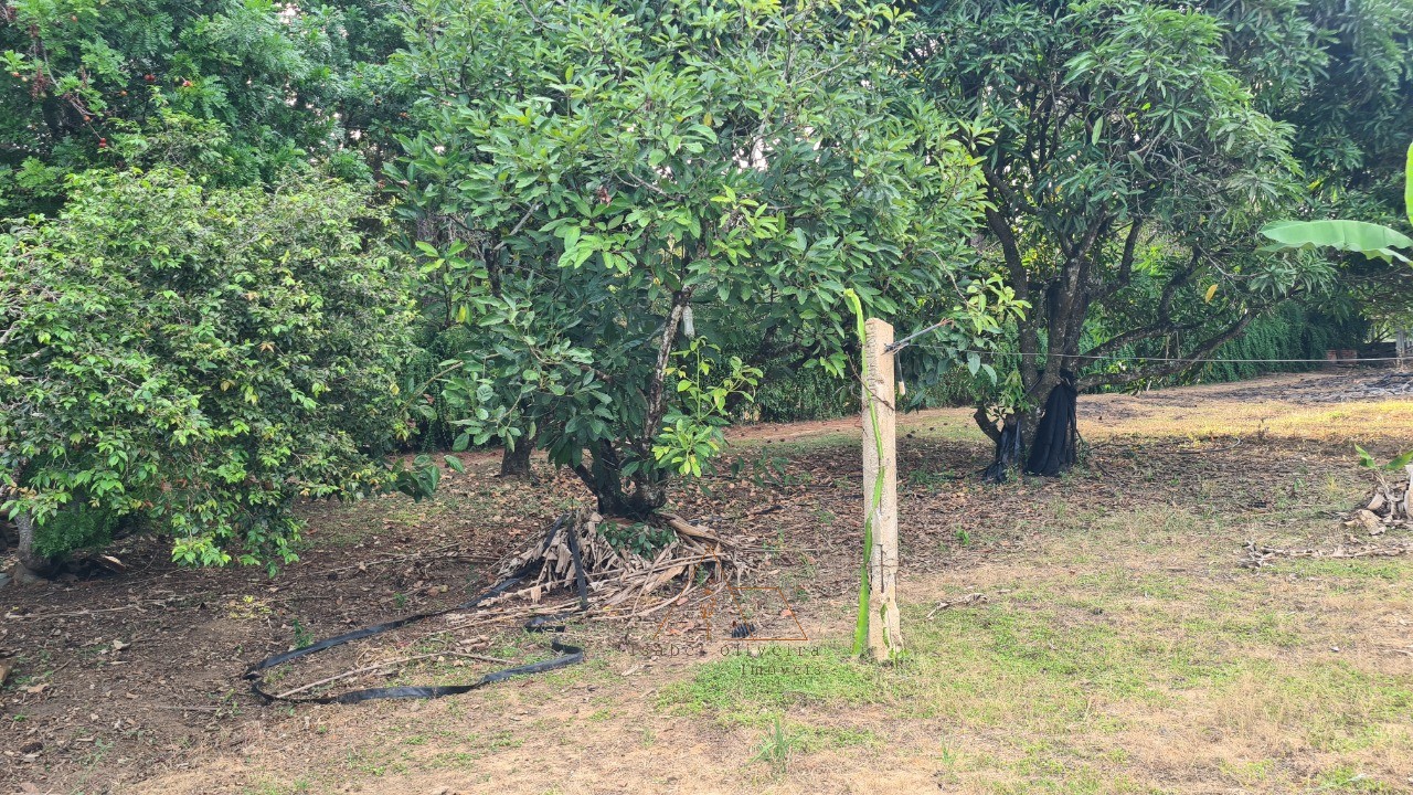 Chácara, 1 quarto, 5287 m² - Foto 11