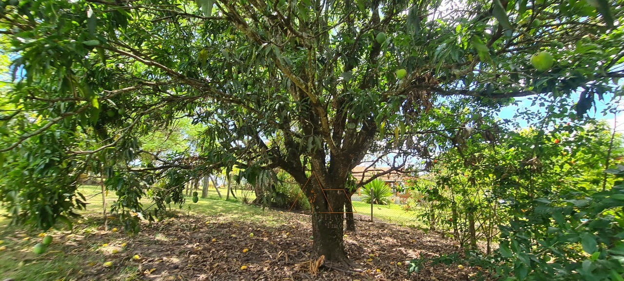 Chácara, 1 quarto - Foto 20