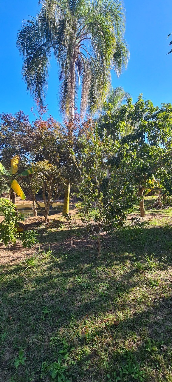 Chácara, 3 quartos - Foto 18