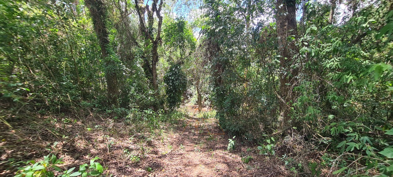 Chácara, 1 quarto - Foto 39