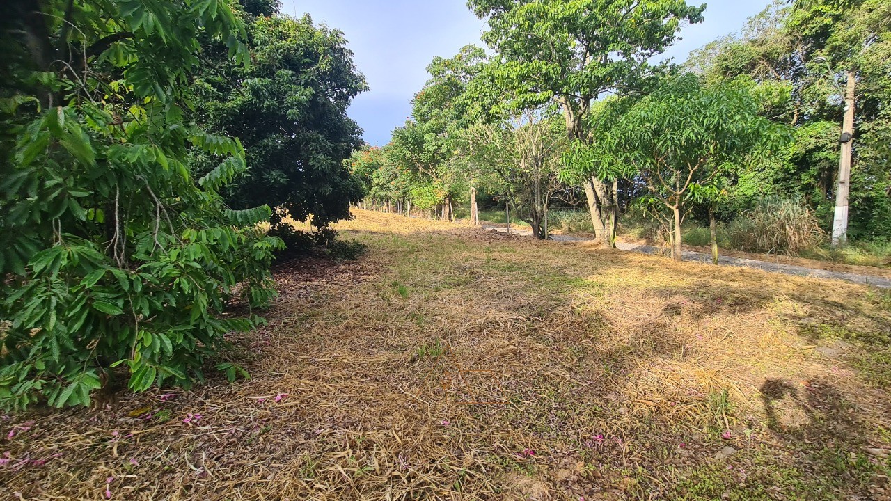 Chácara, 1 quarto, 5287 m² - Foto 24