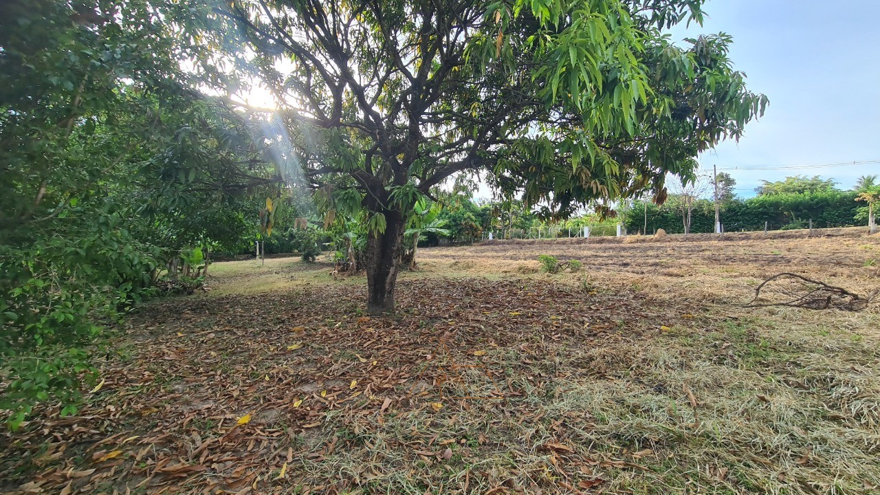 Chácara, 1 quarto, 5287 m² - Foto 27