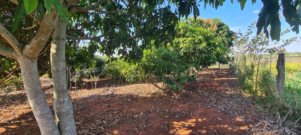 Chácara, 2 quartos - Foto 4