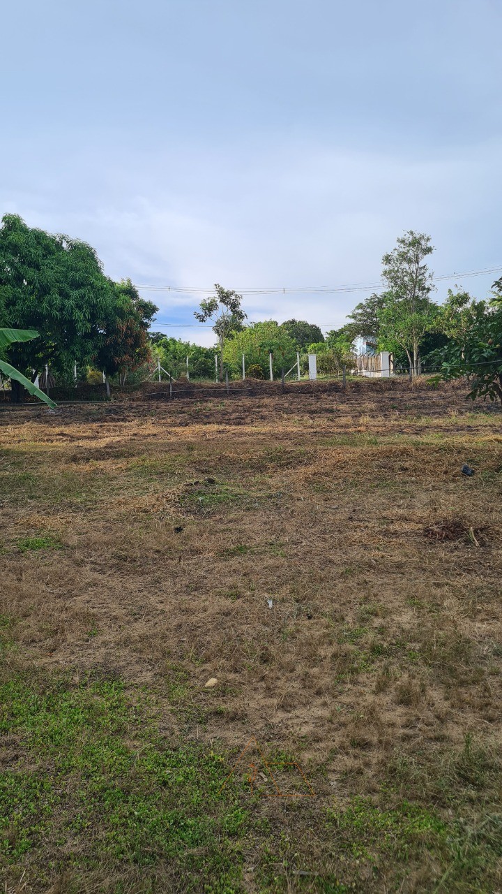 Chácara, 1 quarto, 5287 m² - Foto 19