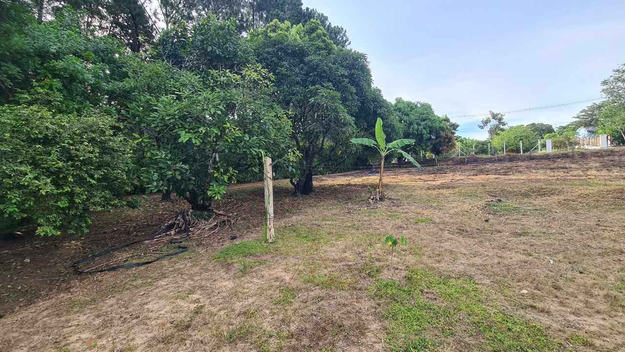 Chácara, 1 quarto, 5287 m² - Foto 6
