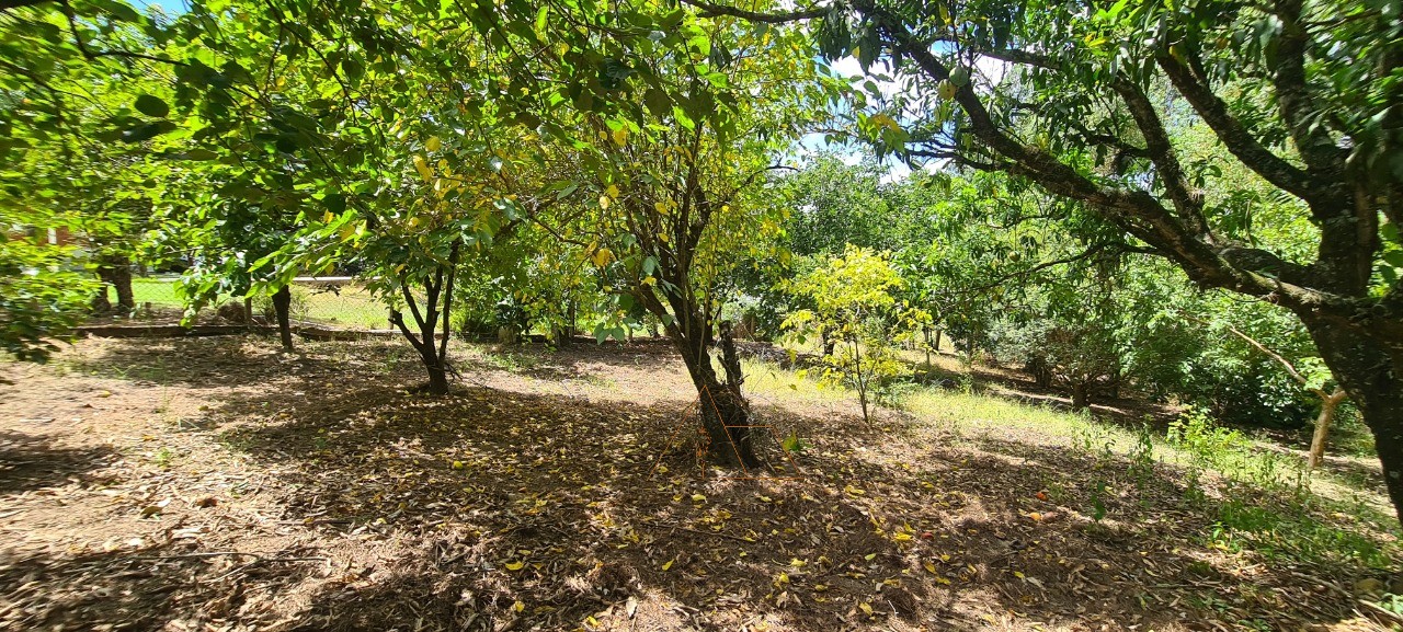 Chácara, 1 quarto - Foto 24