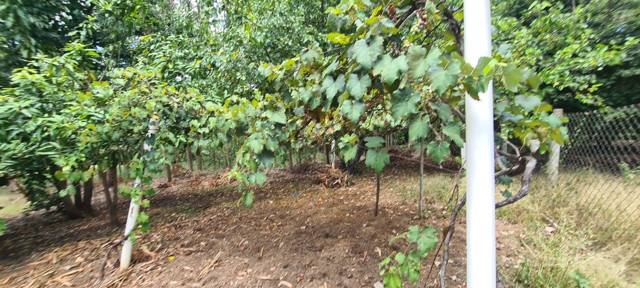 Chácara, 1 quarto - Foto 30