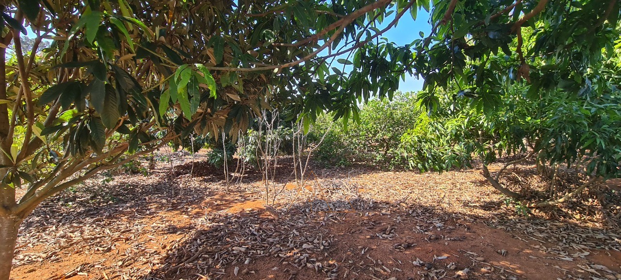 Chácara, 2 quartos - Foto 6
