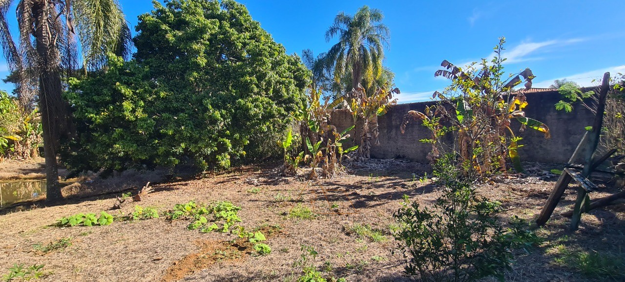 Chácara, 3 quartos - Foto 13