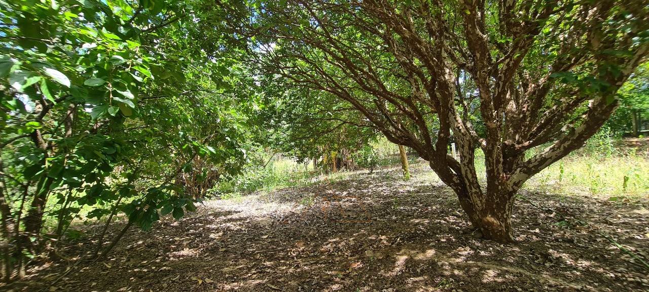 Chácara, 1 quarto - Foto 27