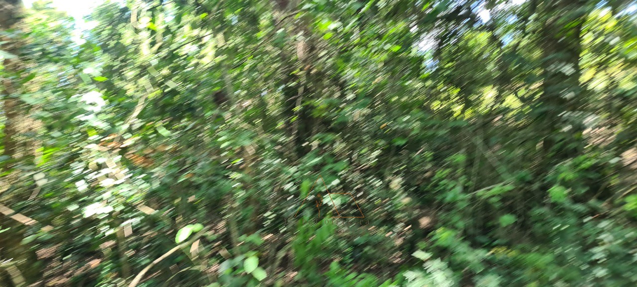 Chácara, 1 quarto - Foto 46