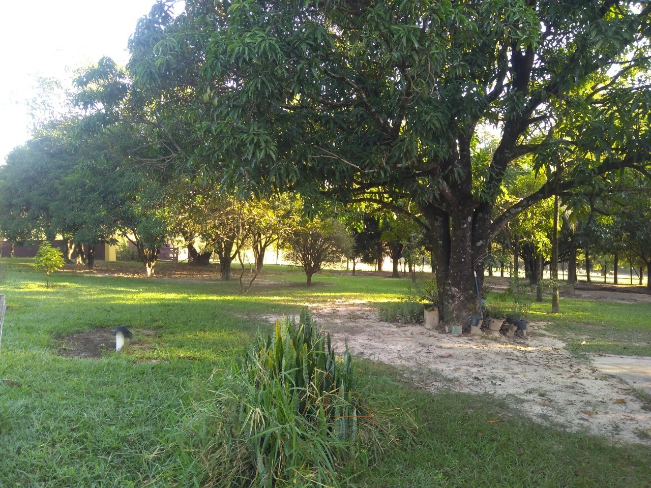 Sítio, 3 quartos - Foto 18