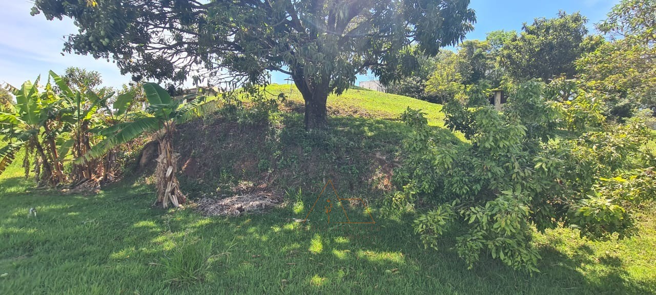 Chácara, 4 quartos - Foto 32