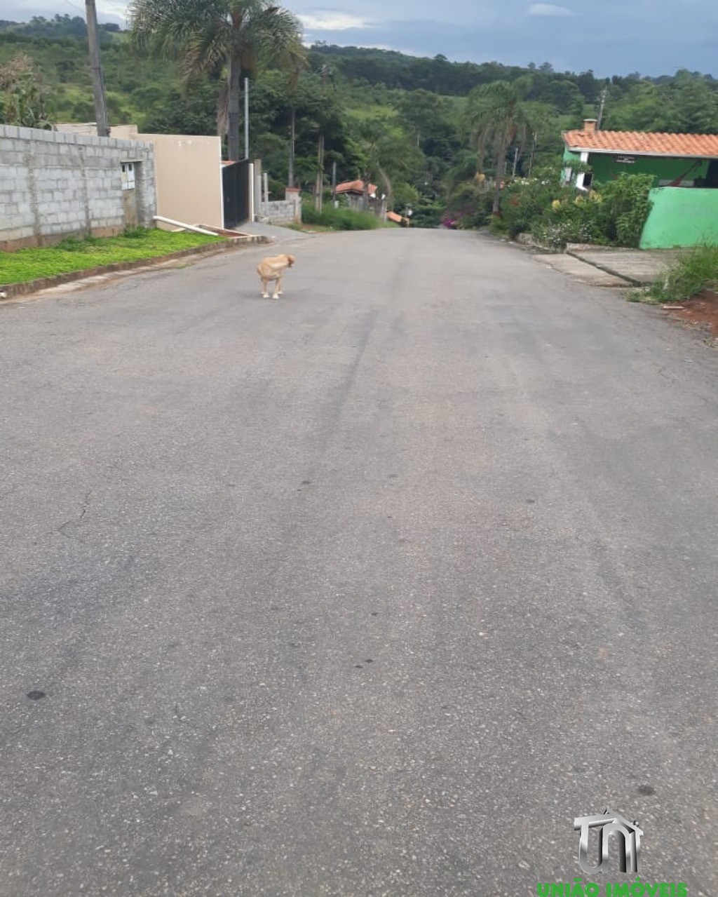Chácara no Água Comprida - Serrinha