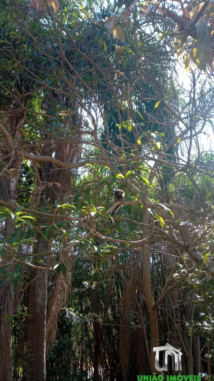 Sítio de 3 quartos à venda em bom retiro dos mourão, braganç