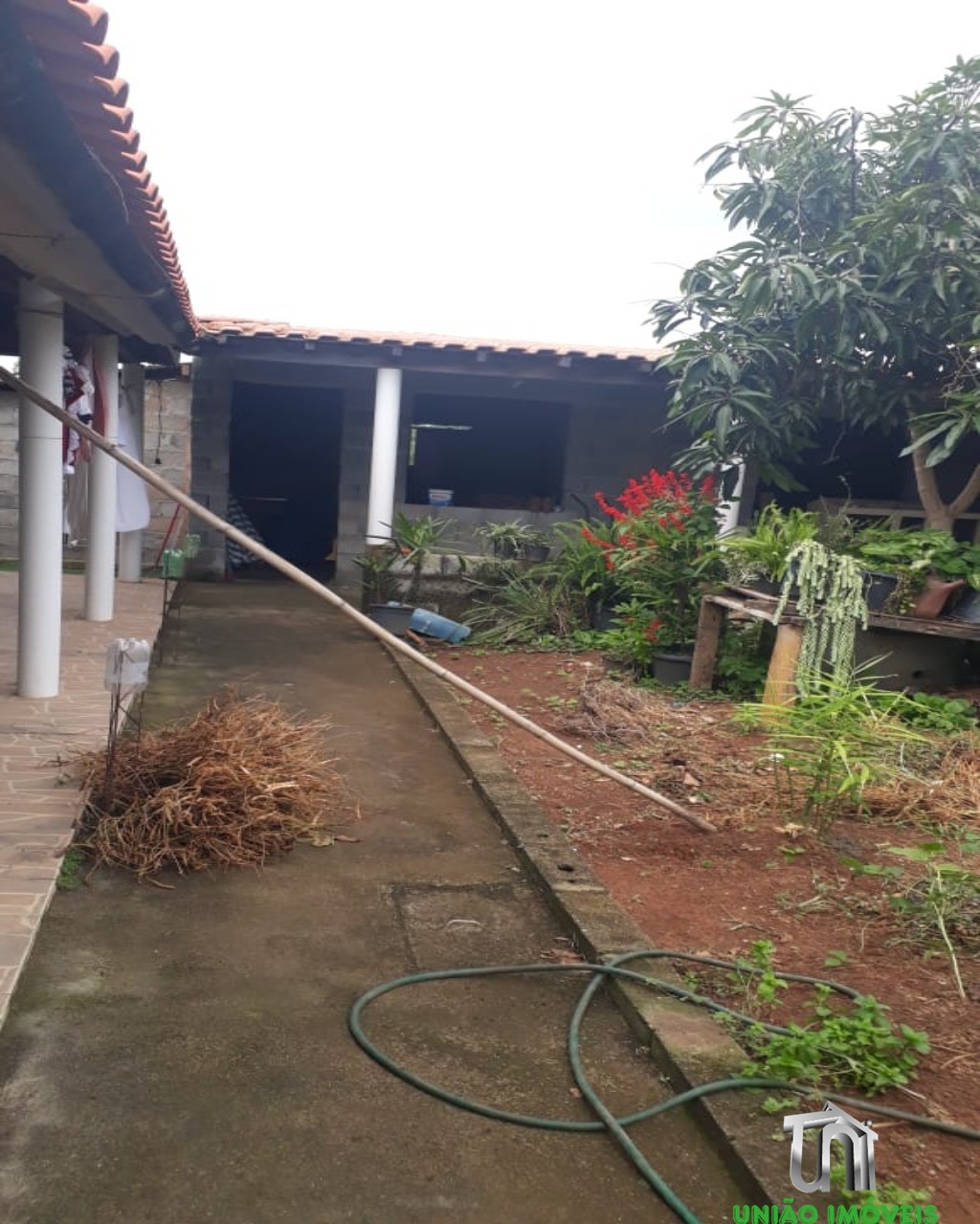 Chácara no Água Comprida - Serrinha
