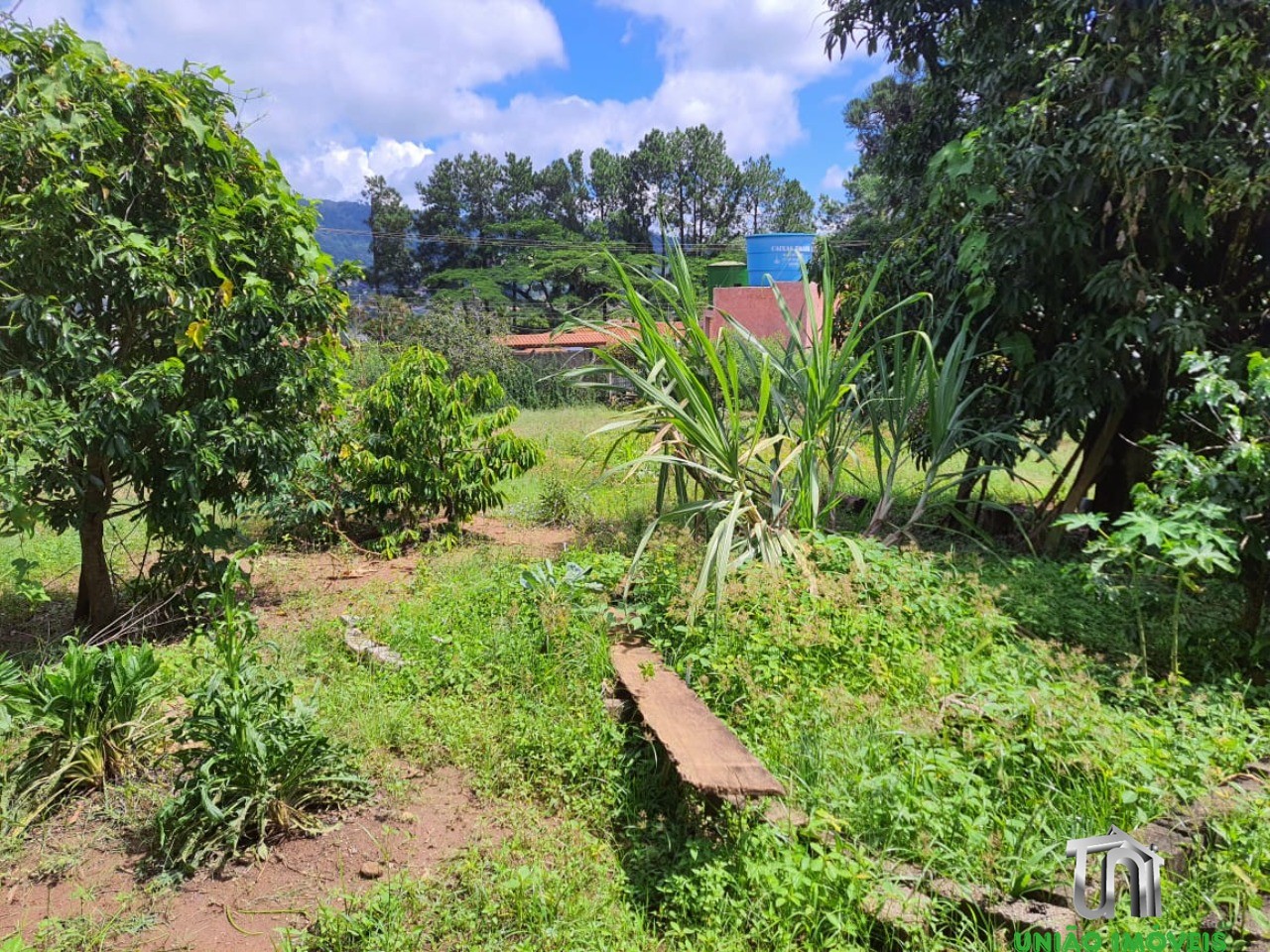 Terreno