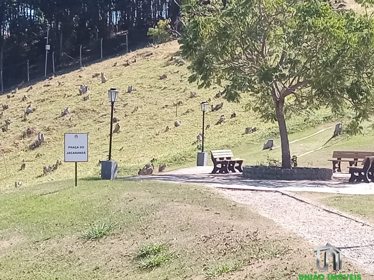 Terreno à venda em bragança paulista-sp, bairro campo novo: 
