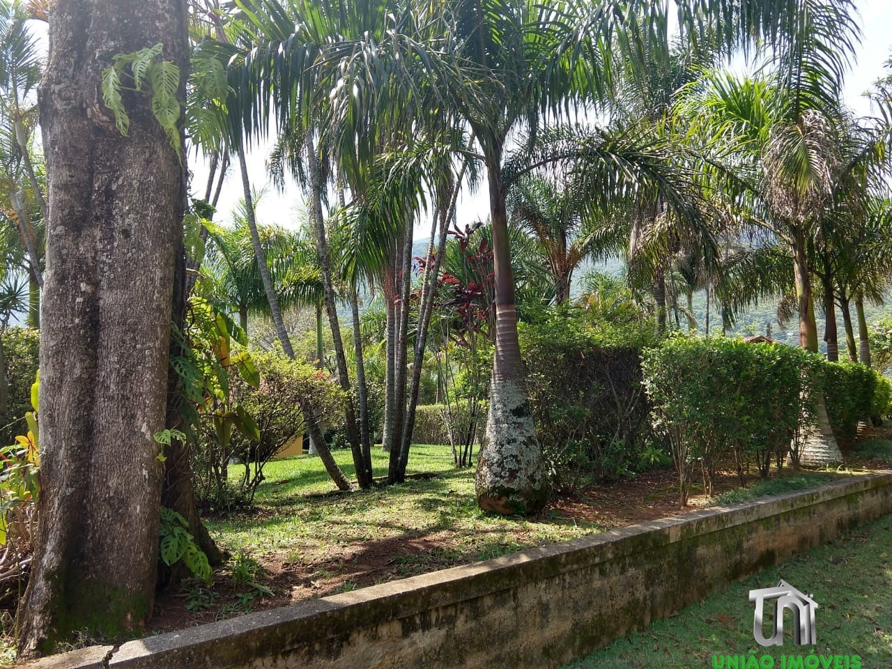 Chácara de luxo à venda em vargem-sp - 8 quartos, 3 salas e 