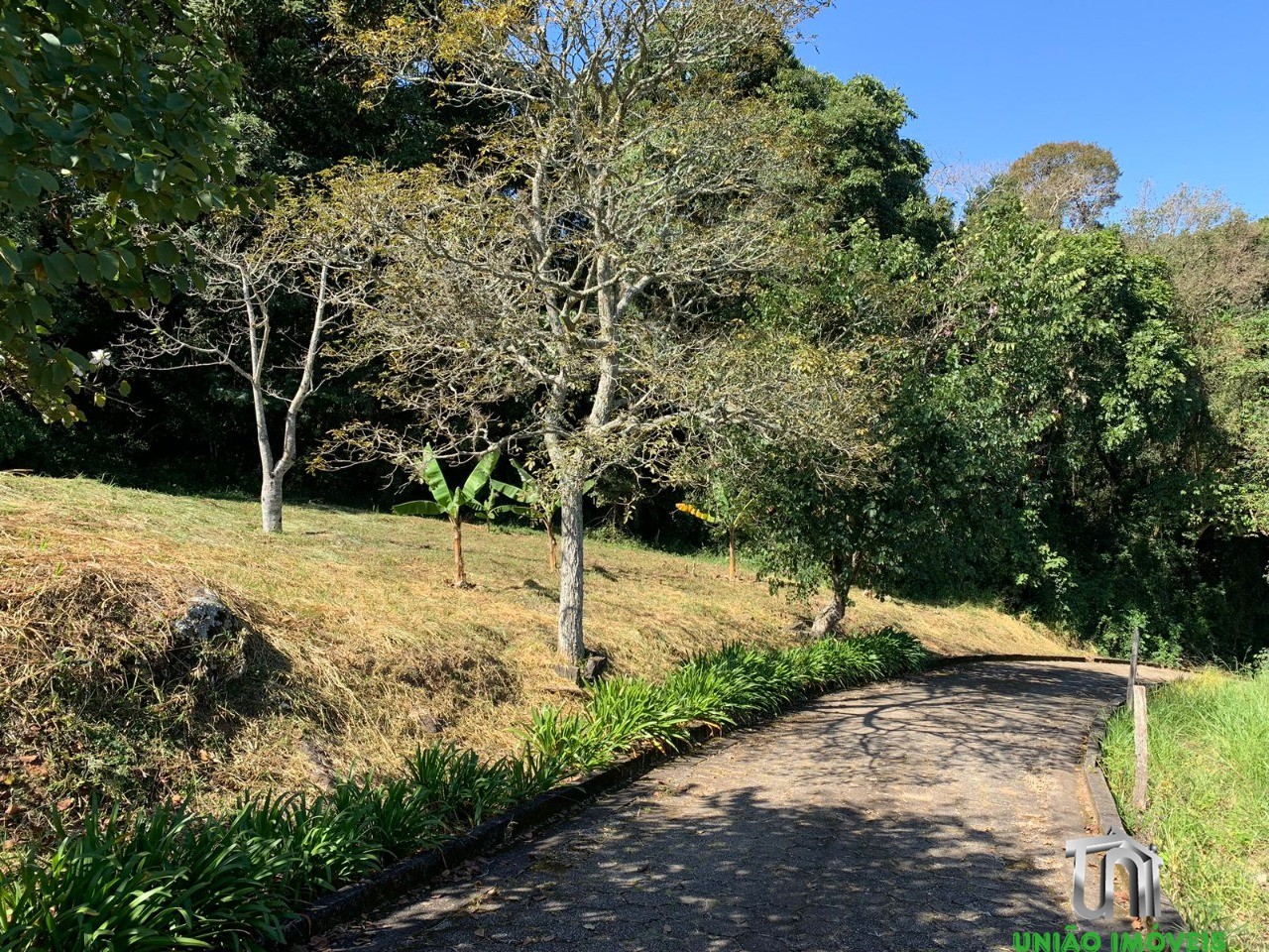 Propriedade Exclusiva: Chácara à Venda com 4 Quartos em Pedra Bela, bairro Pitangueiras - 6.000m² de Área!