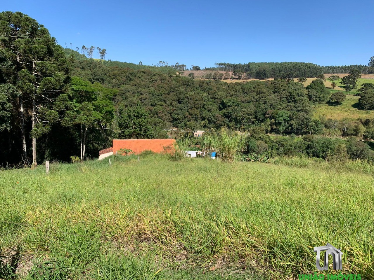 Propriedade Exclusiva: Chácara à Venda com 4 Quartos em Pedra Bela, bairro Pitangueiras - 6.000m² de Área!