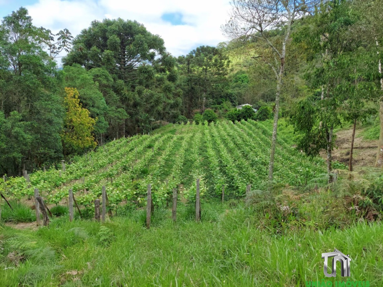 Fazenda - Foto 14