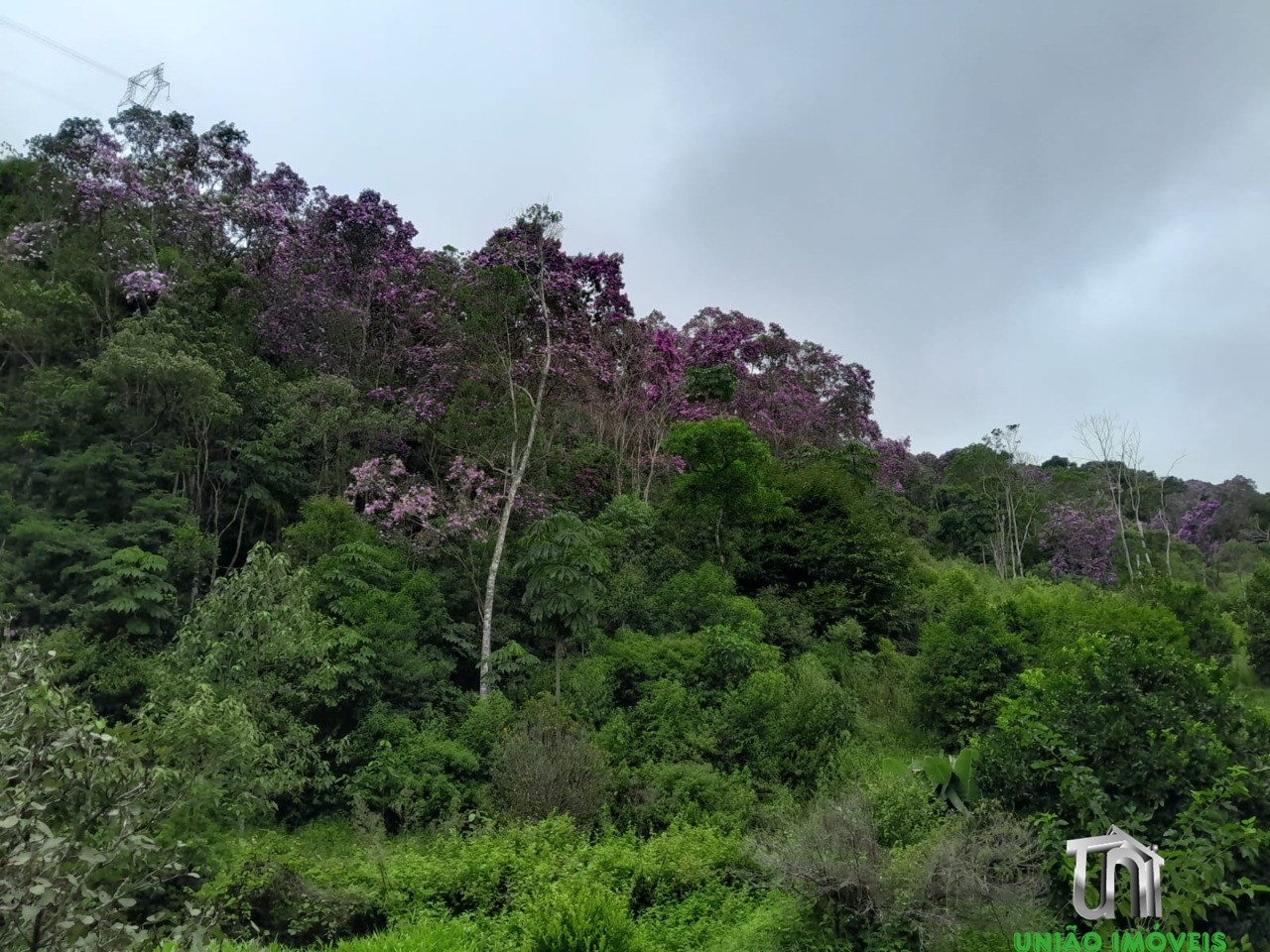 Fazenda - Foto 2
