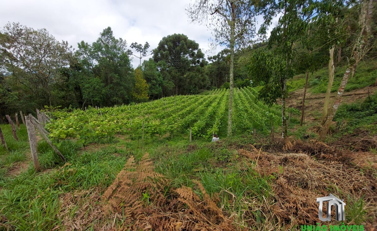Fazenda - Foto 13