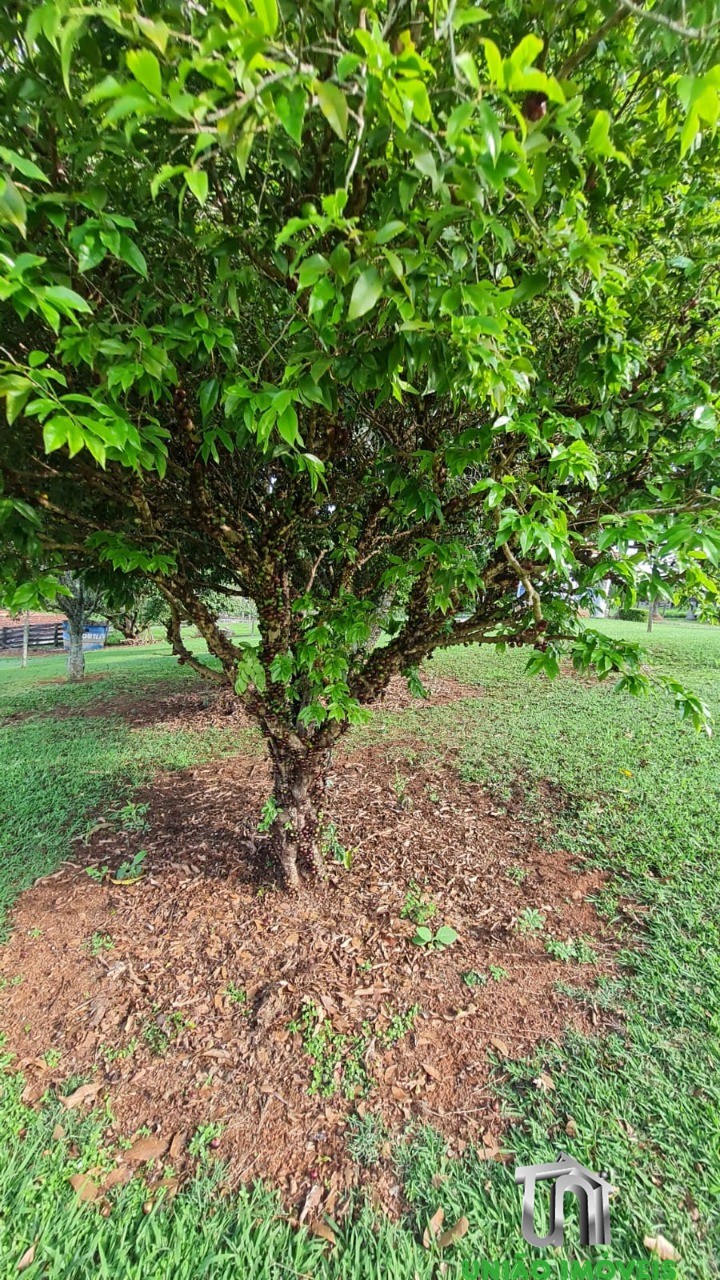Chácara, 4 quartos - Foto 40