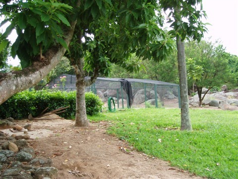 SÍTIO em FAZENDA OLARIA, INDAIATUBA - Foto 3