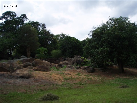 SÍTIO em FAZENDA OLARIA, INDAIATUBA - Foto 2