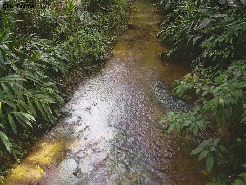 SÍTIO em BAIRRO PEDREGULHO, INDAIATUBA - Foto 4