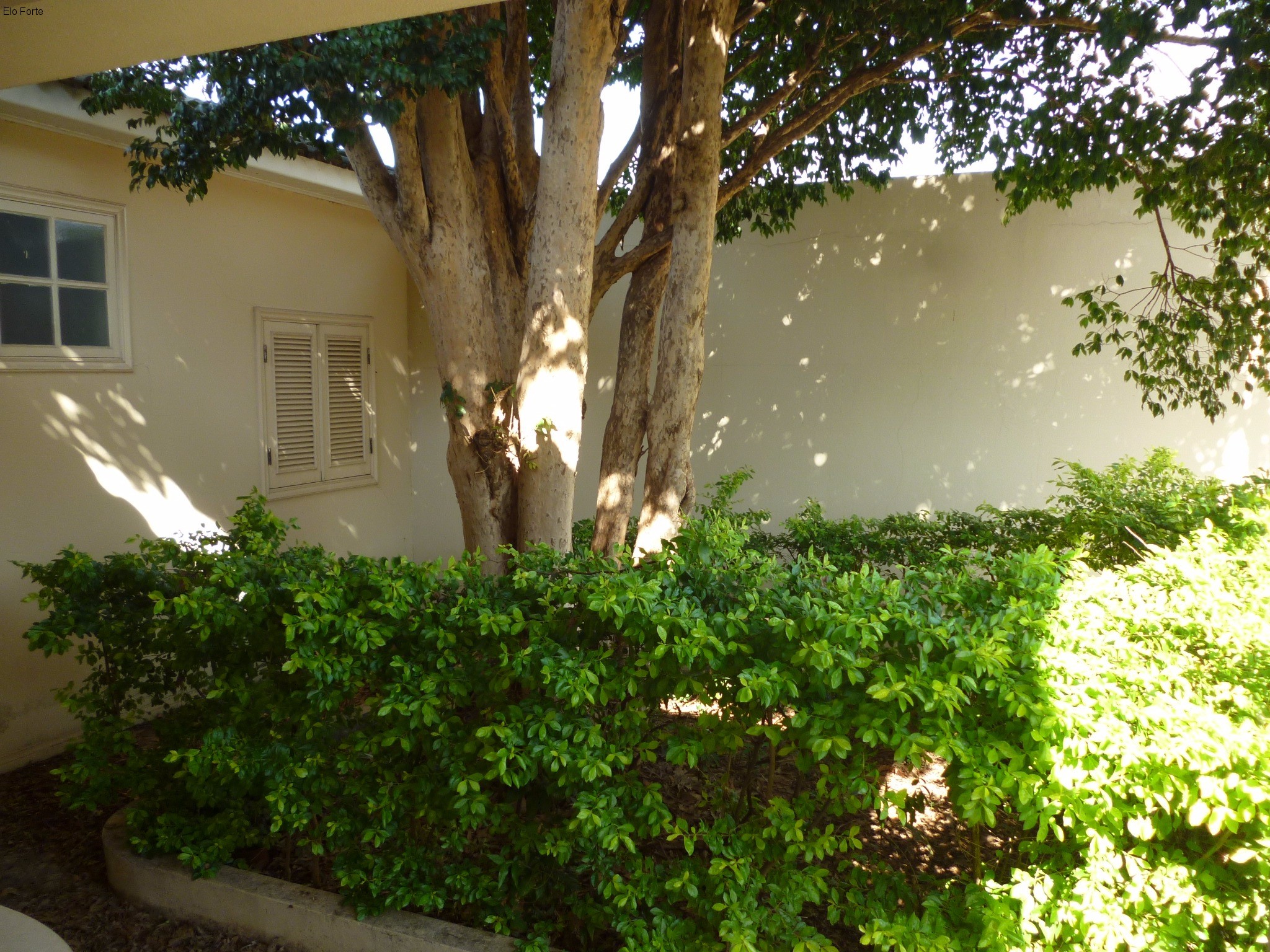 CASA em VILA SORIANO, INDAIATUBA - casa a venda, vila soriano , indaiatuba - Foto 23