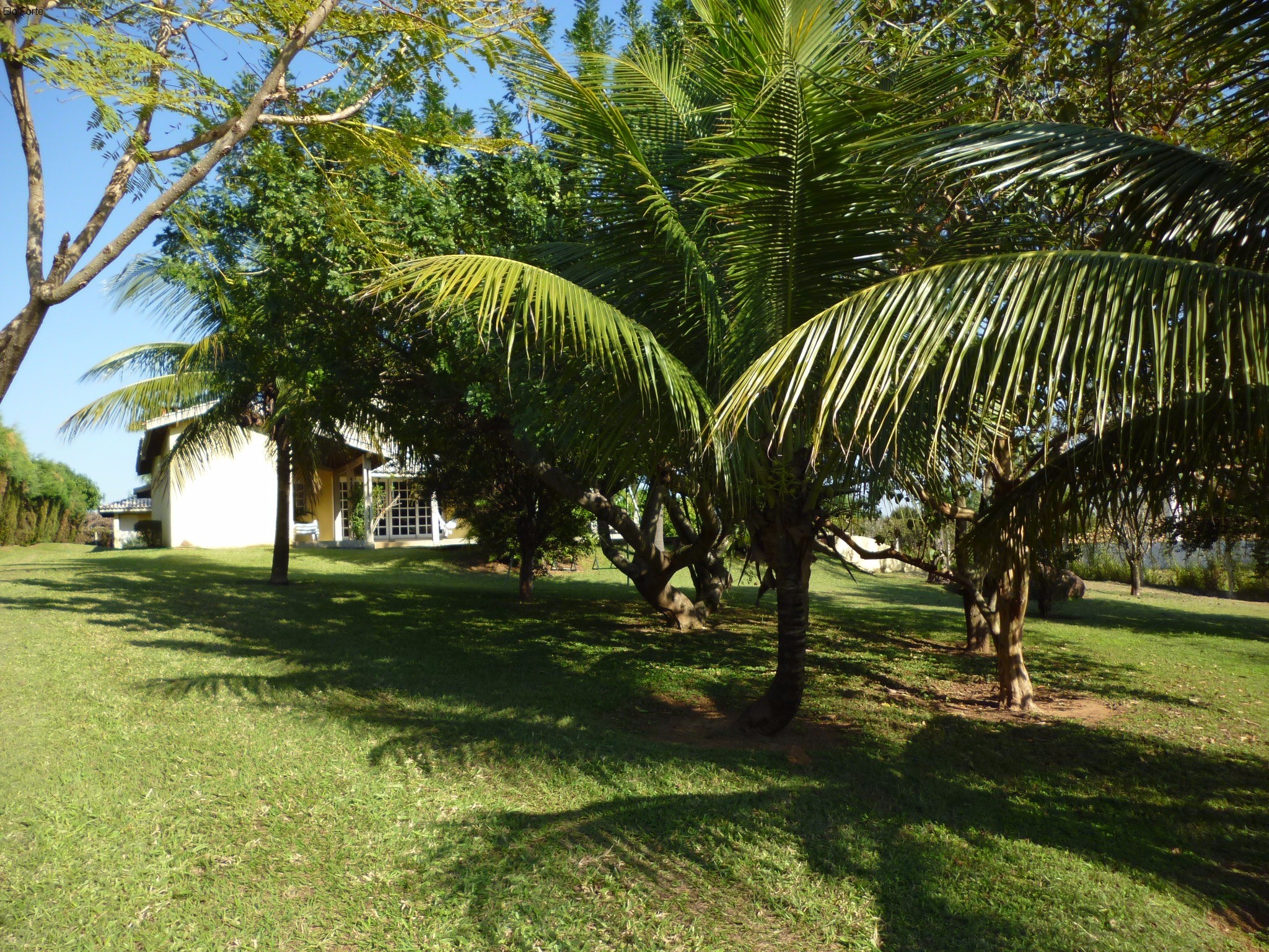 CHÁCARA em COLINAS DO MOSTEIRO DE ITAICI, INDAIATUBA - chácara para venda , colinas do mosteiro de itaici, indaiatuba - Foto 2